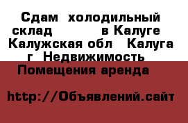 Сдам: холодильный склад -28  5 C в Калуге - Калужская обл., Калуга г. Недвижимость » Помещения аренда   